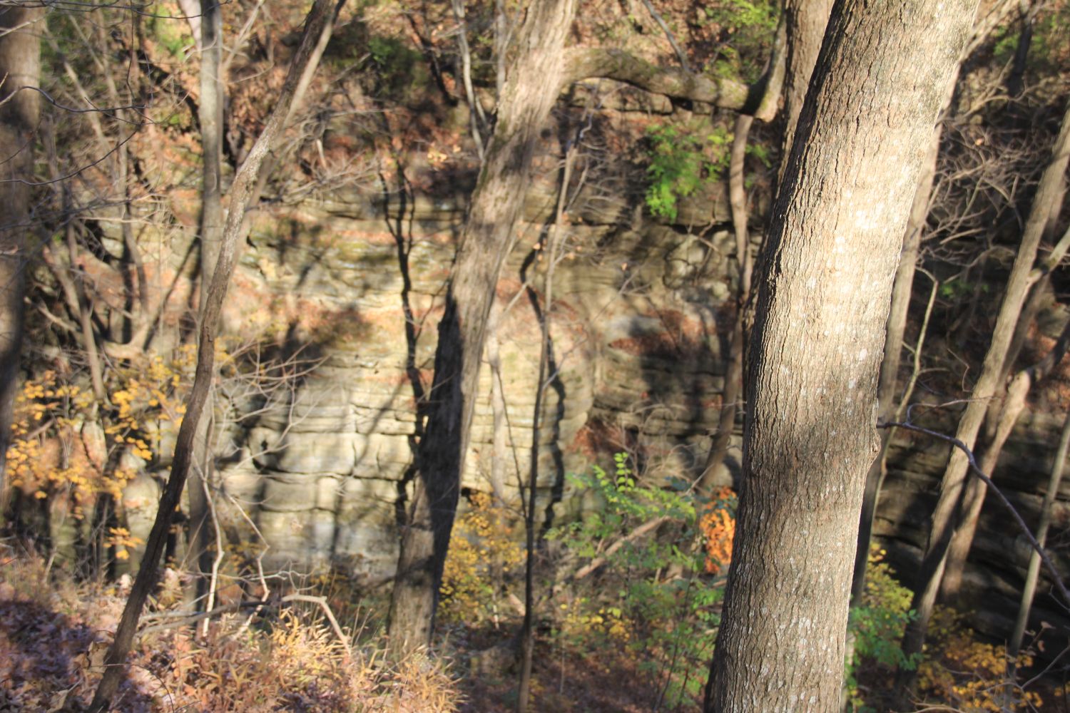 Matthiessen 